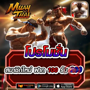 เว็บ mpk2you
